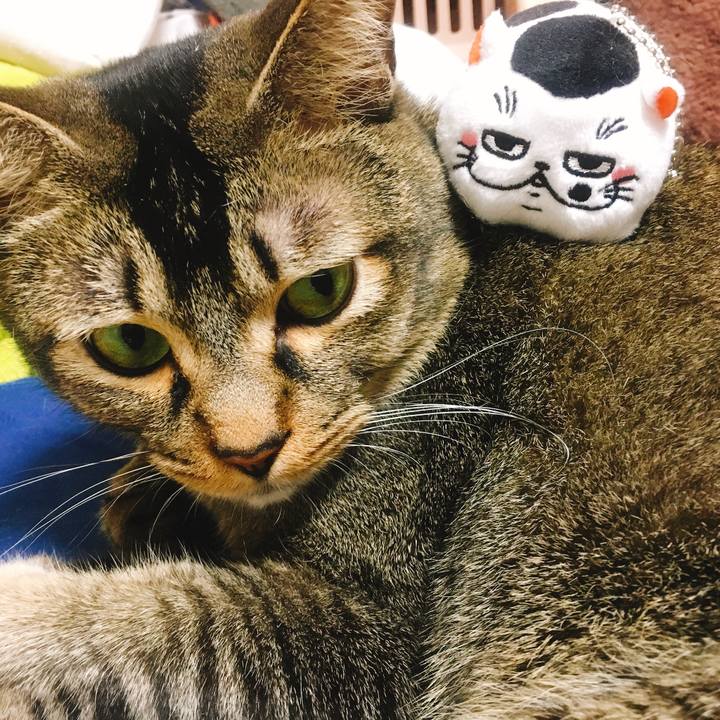 Df54948b 37f8 45cc 9dec 87f5100ad712 1559815099267