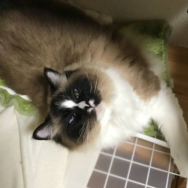 Df54afb7 de0f 44cb 9469 e861022fcb82 1524308507828