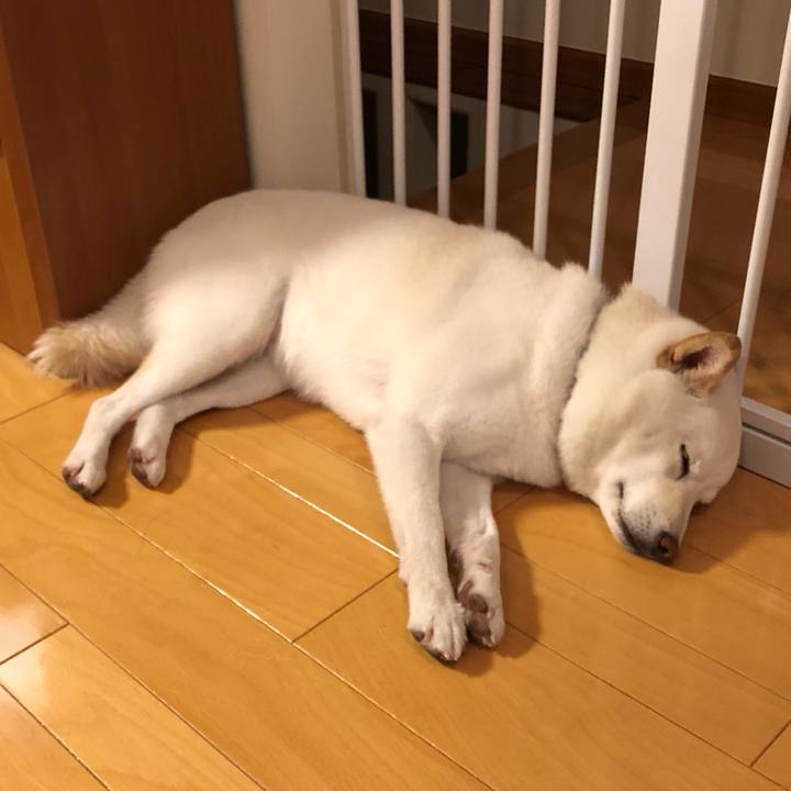 Df54b669 73c6 4521 9183 427a5ba23003 1558495994183