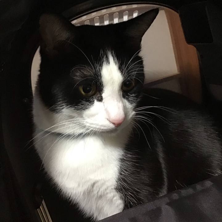 Df5559f3 839d 4c66 ae65 b39137d826be 1701174148911