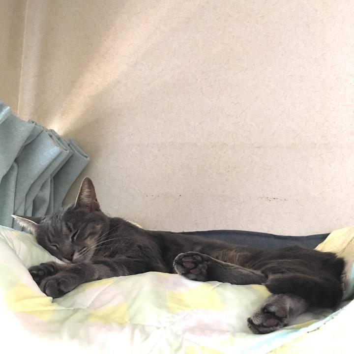 Df55688d c9b7 459f 85bd c774f1e55d28 1597456035327