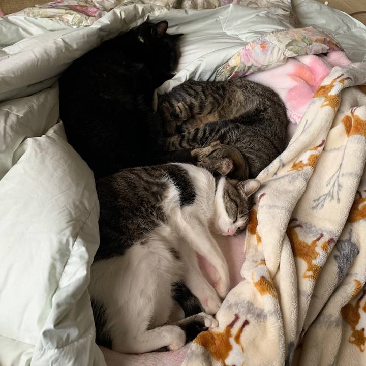 Df559a70 ca0f 4289 bd40 6c05f9c763f1 1547557441483