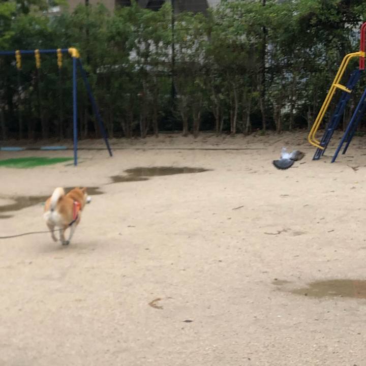 Df559c00 0a57 46f4 918d 9dc9f3fb3da7 1561956868209