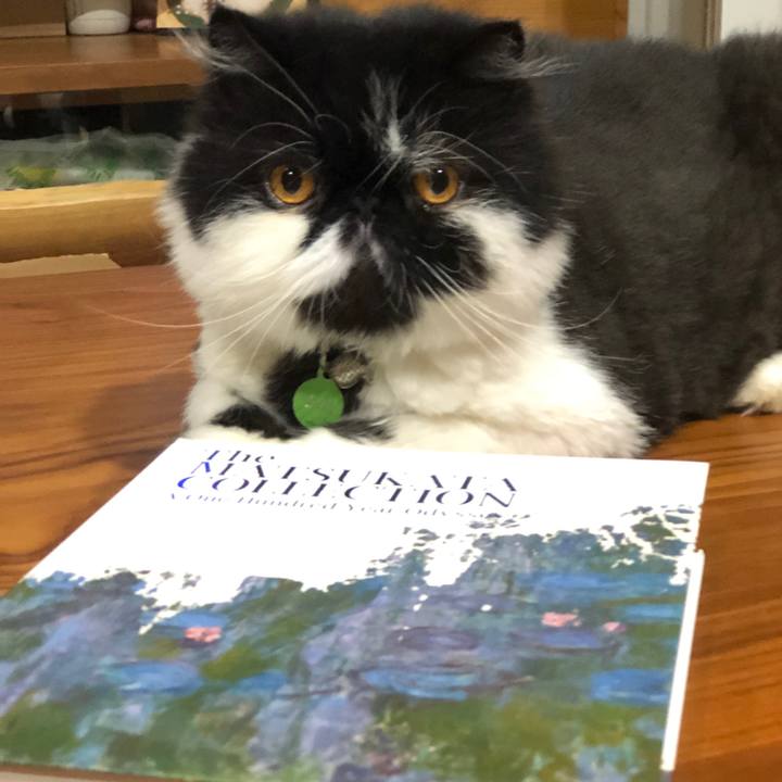 Df55d1c7 2f51 4970 bc3a 2670d8c30ddb 1566139259994