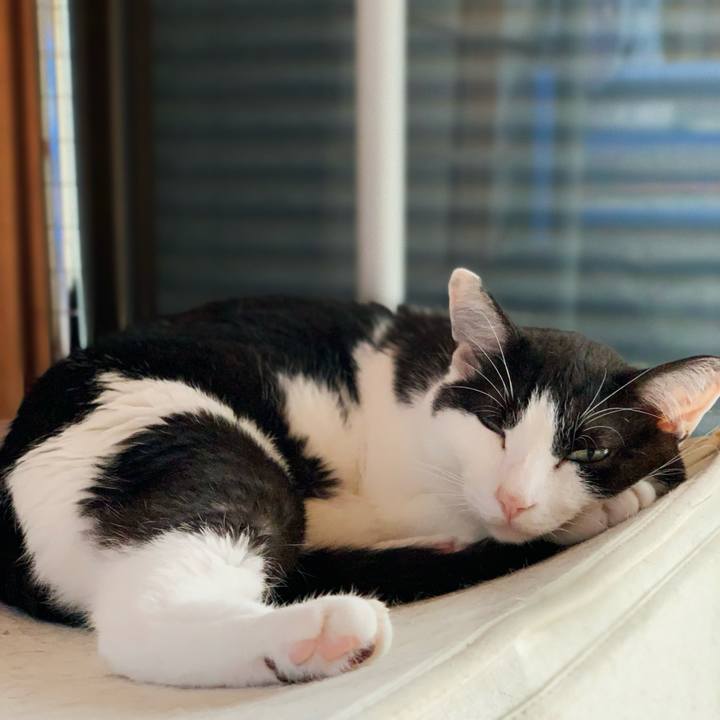 Df55e296 5e44 436f b3ab e8f10b556dc9 1599360362234