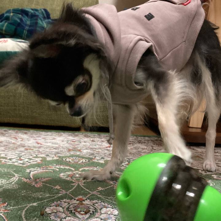 Df5621e9 cb5d 421f 98cf aa4acf3202a8 1668951449428