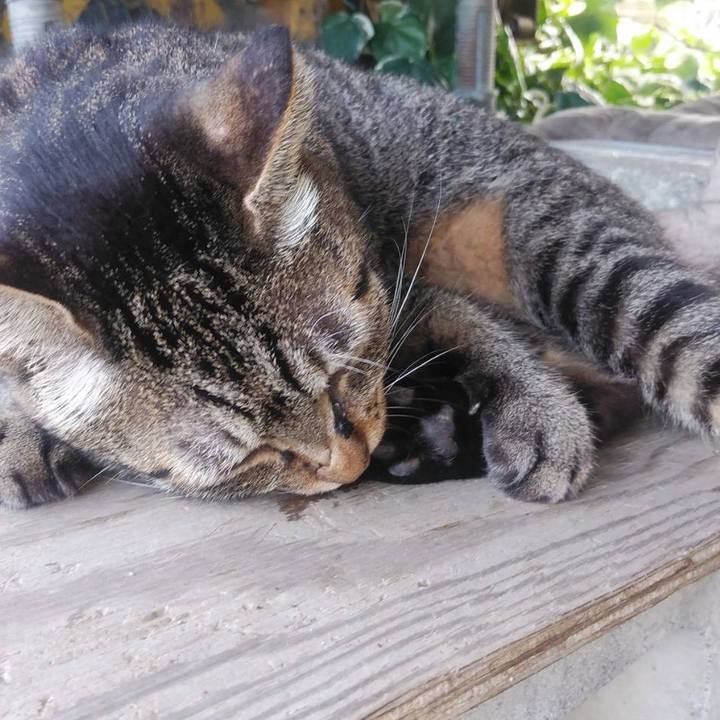 Df5665b2 c170 4034 b58a ff6790d2445a 1568682140427