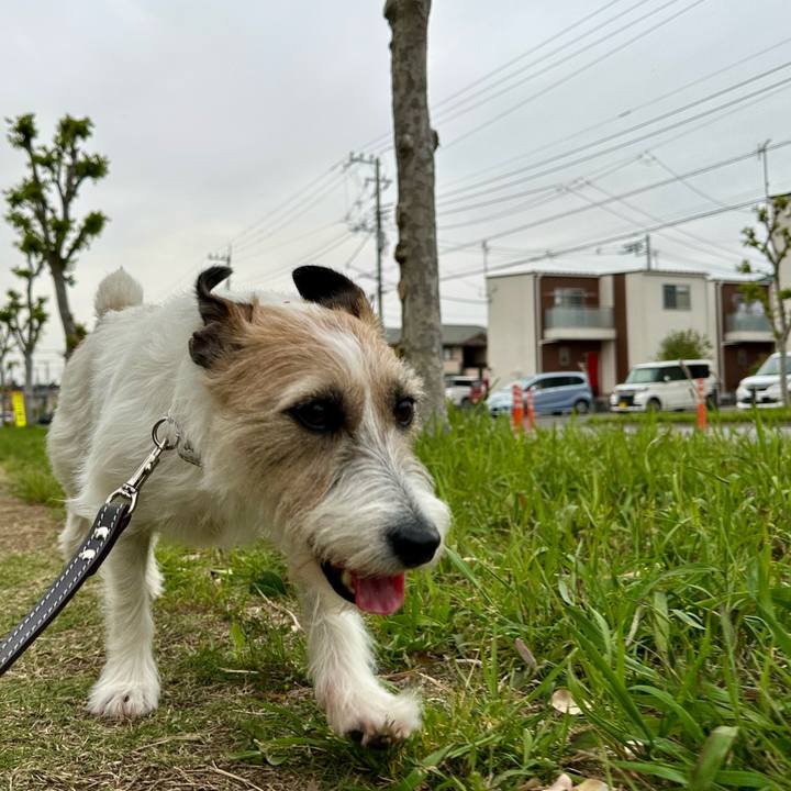 Df56678b 956e 4fba 9037 7b29e1cf999a 1745354383990