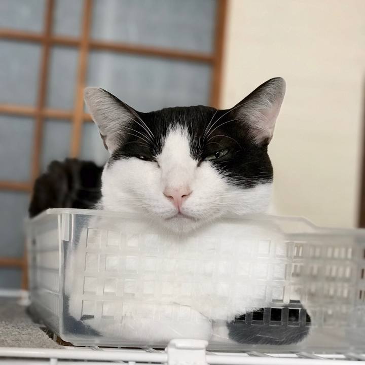 Df567544 4398 4065 a0a8 edf445f9c91d 1537416907691