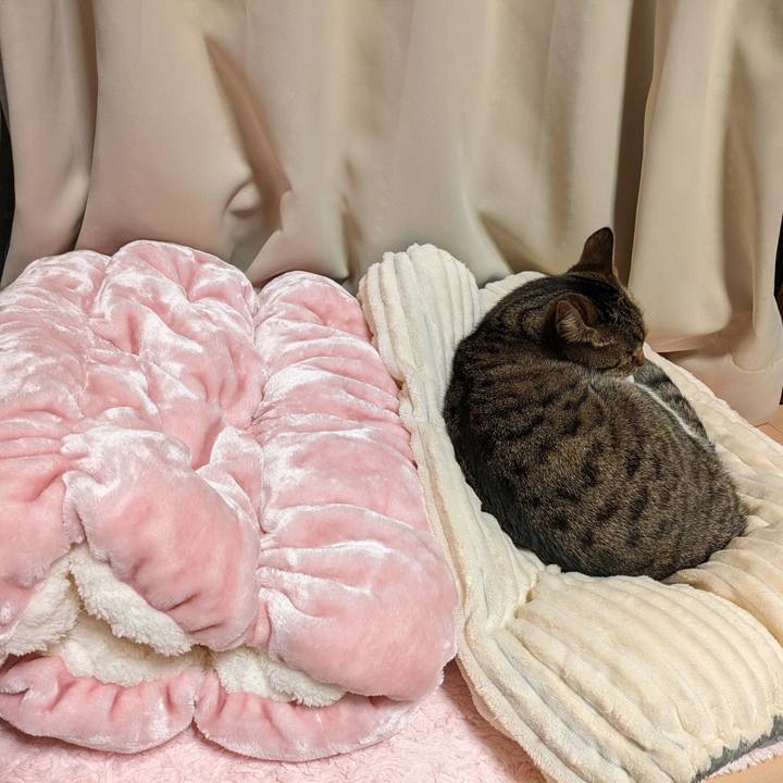 Df568188 fbae 47ad 88b8 ee75177694b3 1698742340259