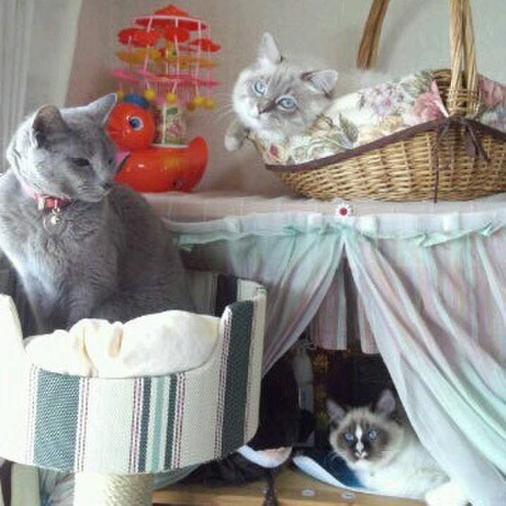 Df56ade6 5192 40d2 8c1a 3c1c2eccfa02 1509086059880