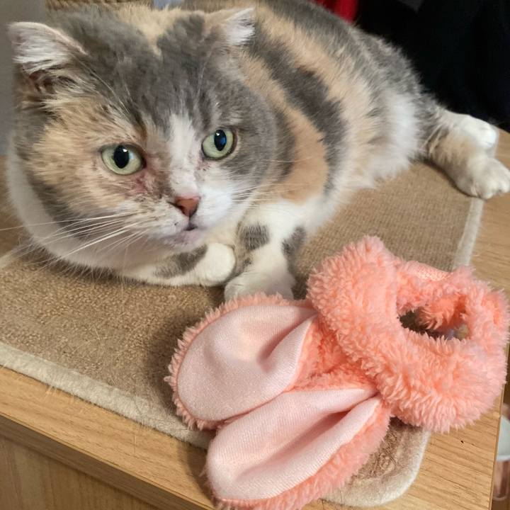 Df56fe9d 8ec2 4975 942e 0cf71596947f 1681029287345