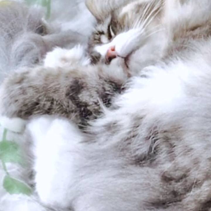 Df5724a1 d2c4 4061 b13a af67534cb06b 1566267153600