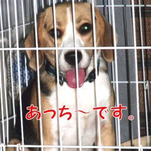 Df575a60 be9c 4756 9ea3 b6dca37d1e9e 1691101439242