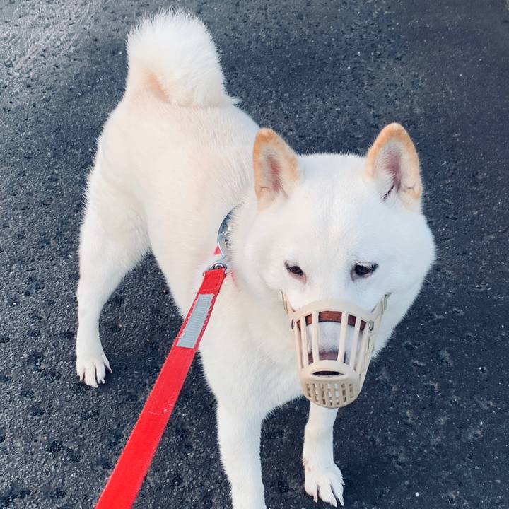 Df5791e1 b187 4427 9980 f9f7907cf986 1570659683608