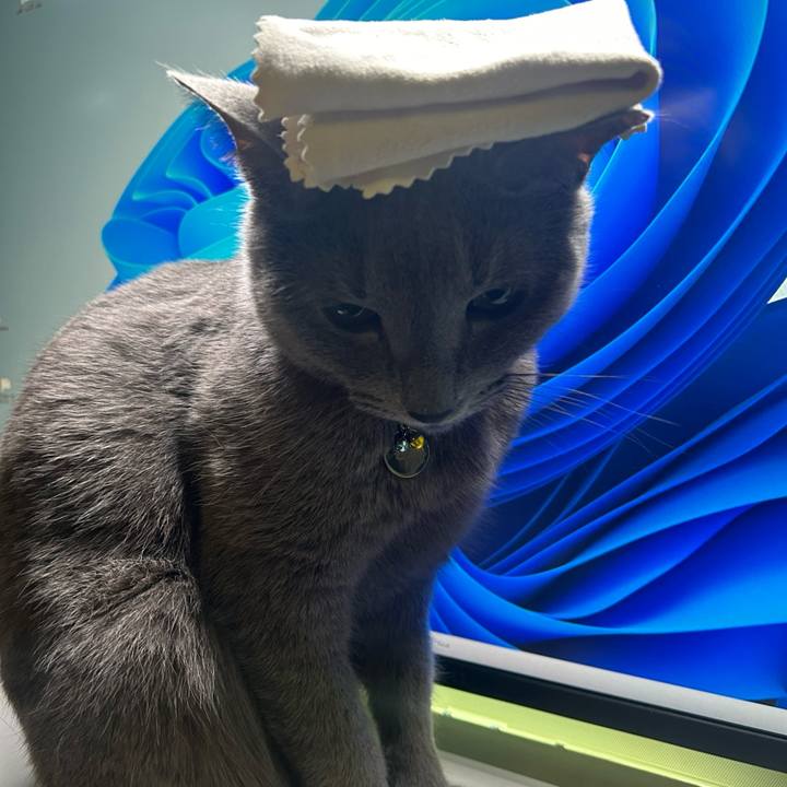 Df57977c 9f31 47ed a71c f1fd6acfdb42 1719029700416