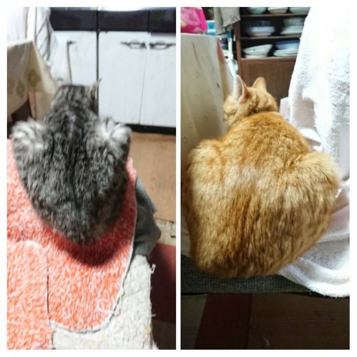 Df579f1f 10aa 4a35 89cb f44244bb5545 1583443108737