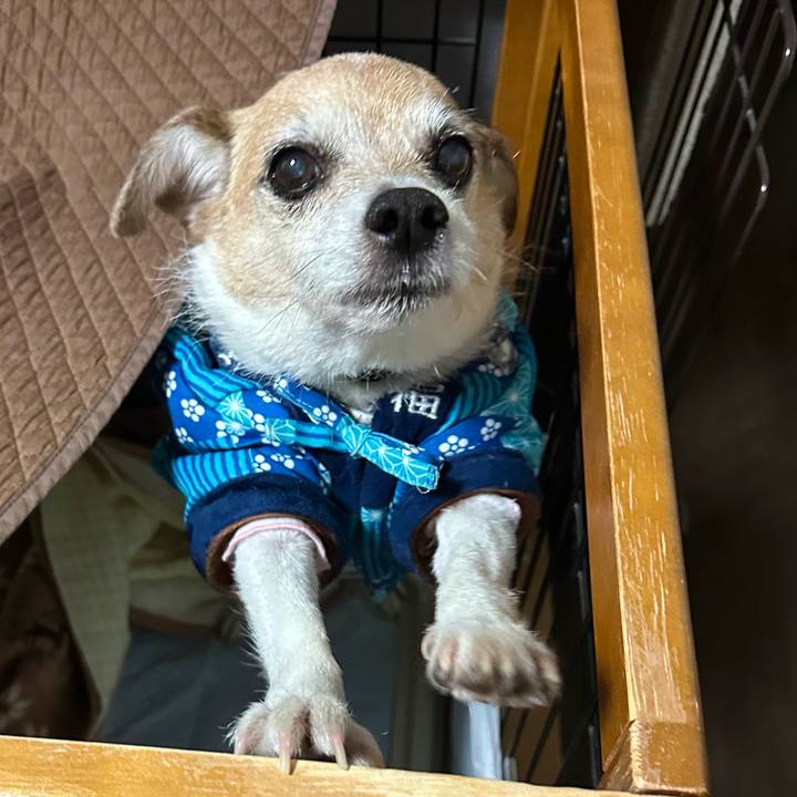 Df57c2fa 0adf 4b9f 9c02 d3bf0fe89612 1669851019548