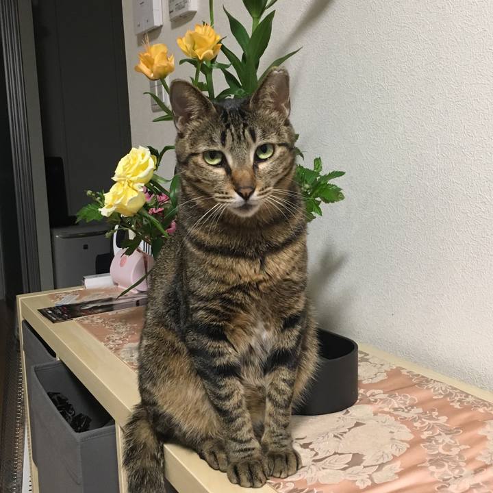 Df57f2e3 90c2 47da a46f 32eb7ec049c6 1523195210524