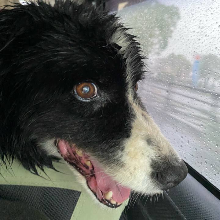 Df581750 edc2 4ee4 9129 6786df1627a7 1688861598164