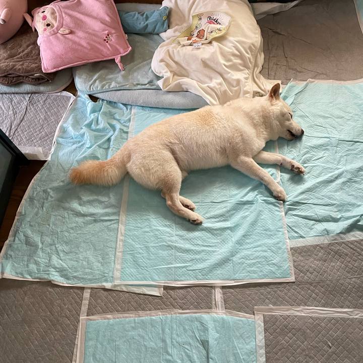 Df582616 16a6 41fb b2a8 7458992d85bb 1634006288806