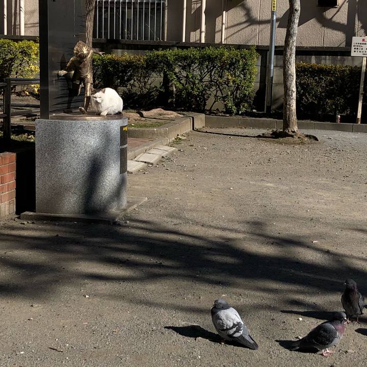 Df5847fd b1c9 444c 8a36 c557de2ae3fb 1644048795031