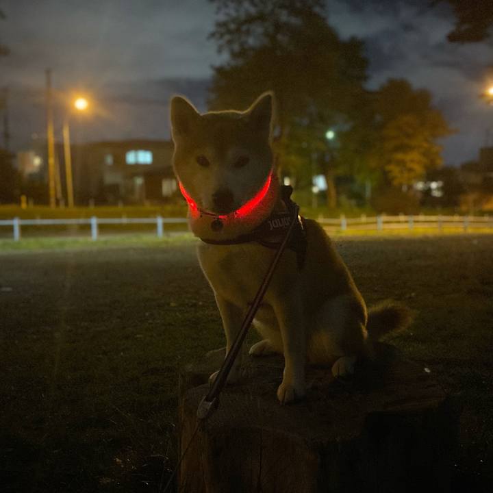 Df584d20 661e 4c4f bf8c eed070f0f18a 1635505103885