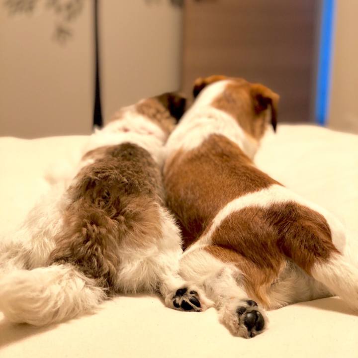 Df585068 928c 4008 9421 4bc9151bbeb9 1558746399071