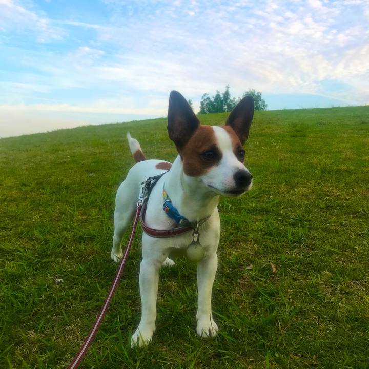 Df587754 9767 489e 84a5 b47bcee41371 1527424397121