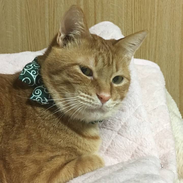 Df588541 3e41 4ed0 baae 1f022eacfc4c 1547547558569