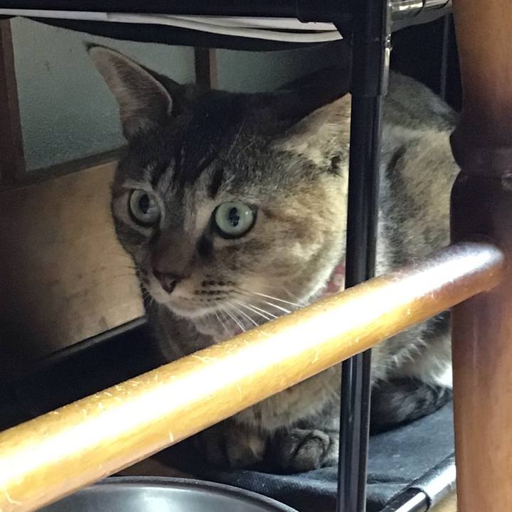 Df588e6a f547 402d 8fe4 40dfe1dbdae0 1653270984067