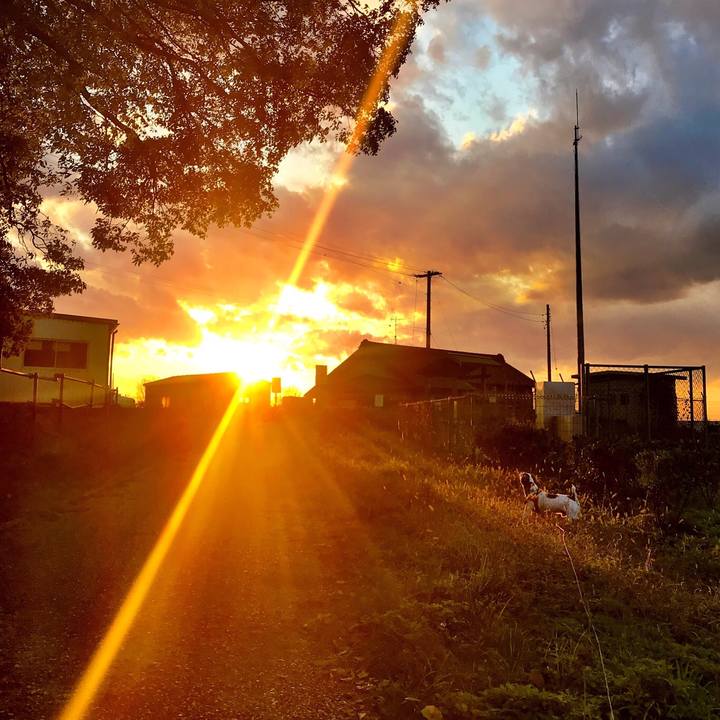 Df58a226 7637 4d13 bff8 4823e52069dc 1512986107419