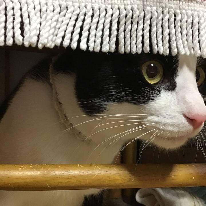 Df58b4cb 759b 4328 89f7 0e7033179ace 1654210661318