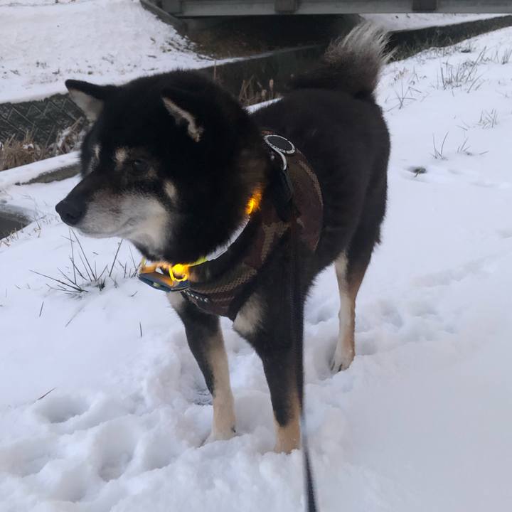 Df58cff9 a1ea 46bf 87c4 7183d641eaeb 1608023387869