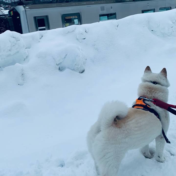 Df592025 ff89 4850 8fff f1b938a5a992 1675981669158