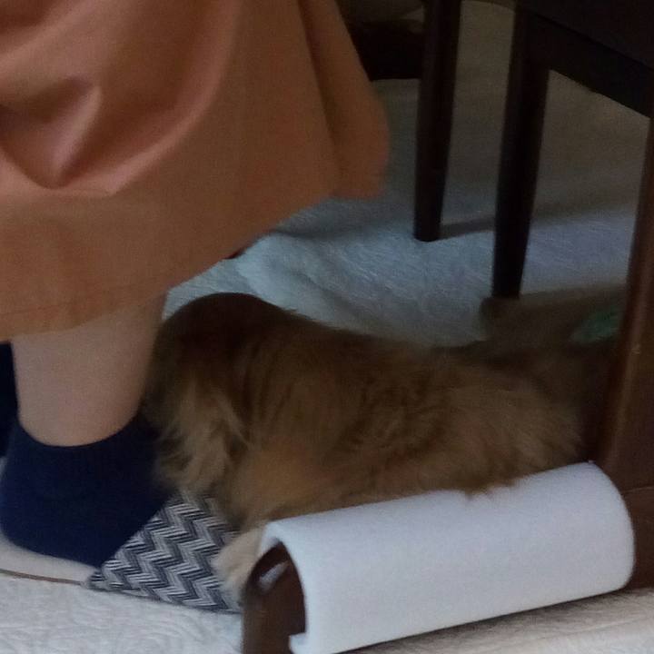 Df59272f 1d8e 470d b7e7 0063dfe557f4 1557797340285