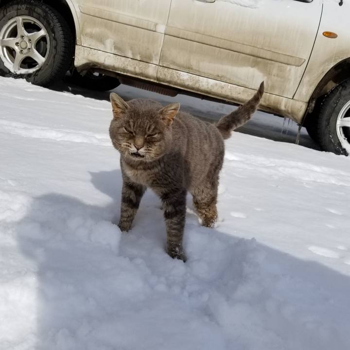 Df596bbd d8c4 4948 94d9 0e26d02af927 1549891456603