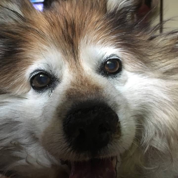 Df59767d bb27 4149 a620 f5044b77531a 1553415697647