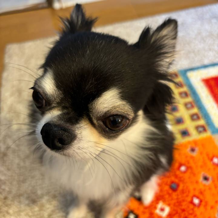 Df59aa10 d12f 496e bc75 ff64daaf8435 1730653486086