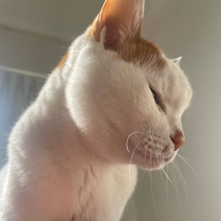 Df59ae9f 70ff 415b b52c f384af1808a7 1744411107028