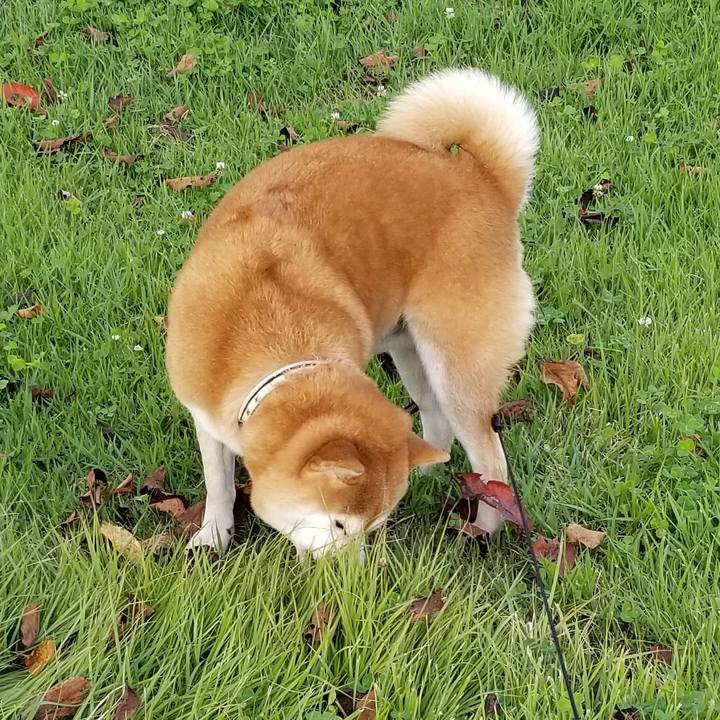 Df5a0b61 56ee 4629 a038 08e0fdfc72b4 1601543731849