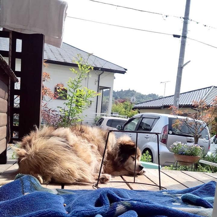 Df5a1bde 5a93 4e26 a5b5 0a4593b624ff 1567130358823