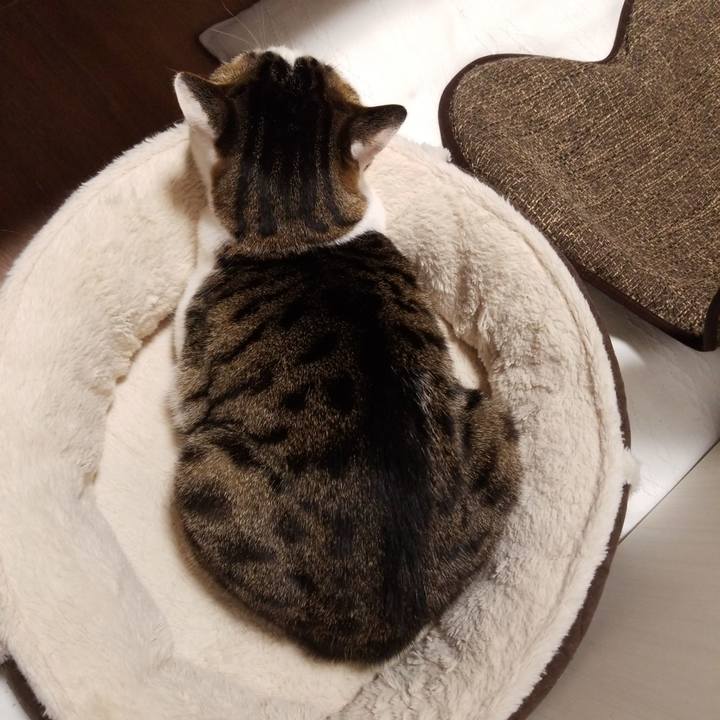 Df5a3f81 4a1c 4337 a731 5428167e35f7 1585129555744