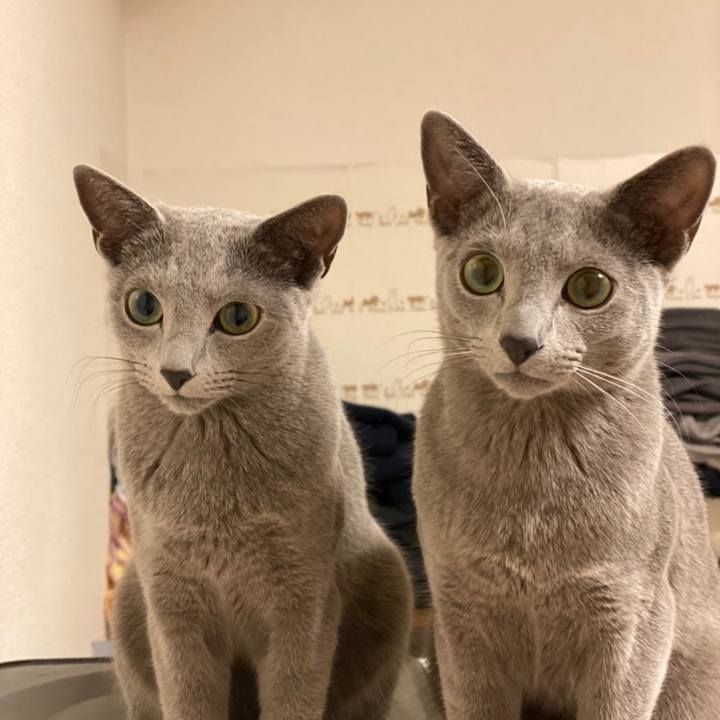 Df5a63c9 7125 4ef7 82de ee36ad722266 1616161350462