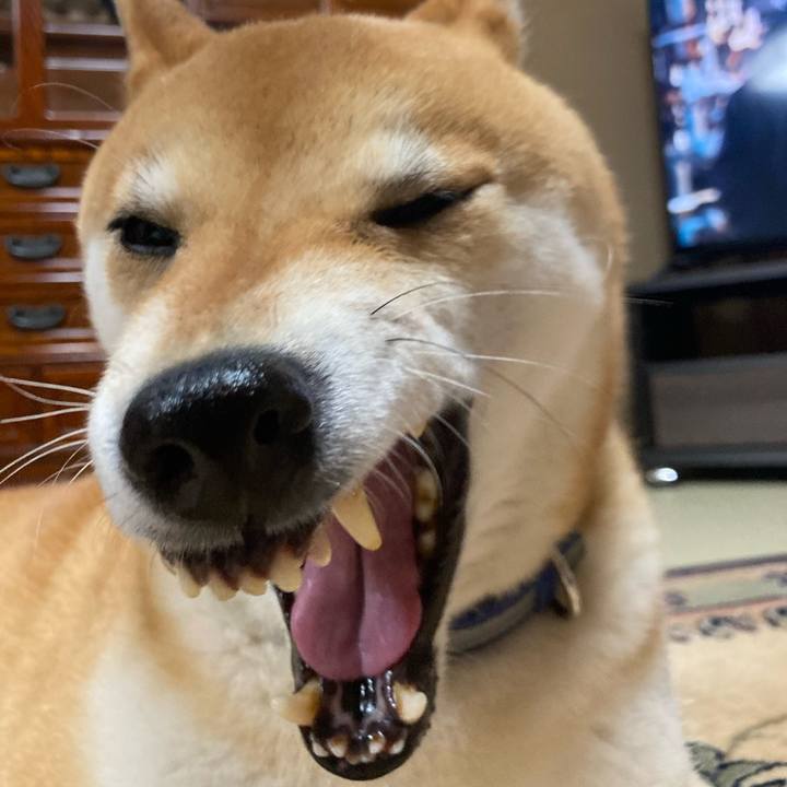 Df5a681b c62e 4234 b93f e03d033c945a 1681558970086