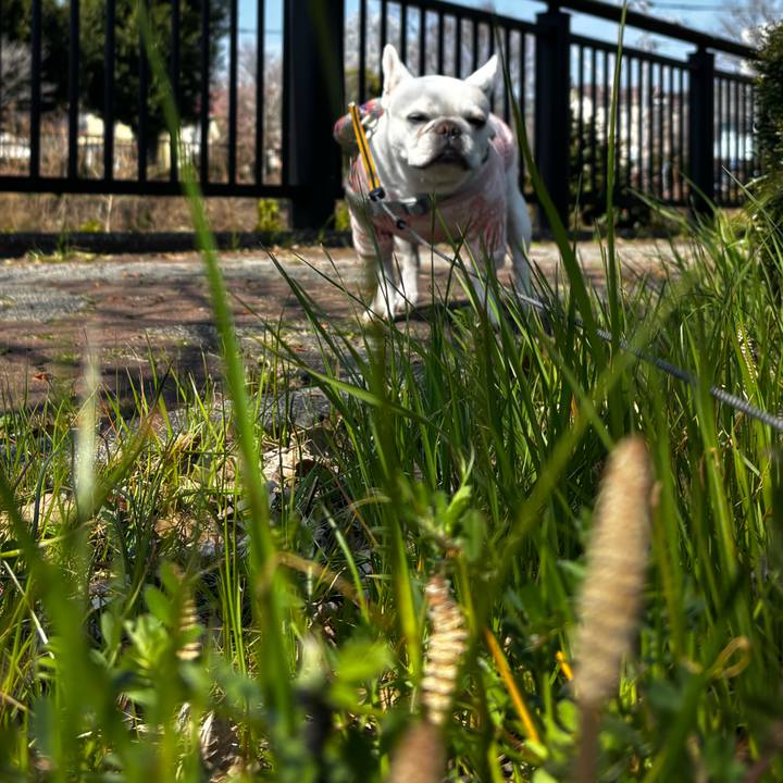 Df5a749e 0991 4f49 a1fc 896b64275e55 1774128996661