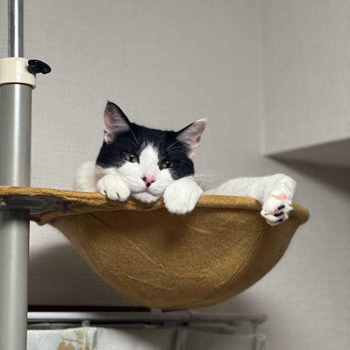 Df5ac808 26c8 416a 8644 206cafec9a11 1658143938793