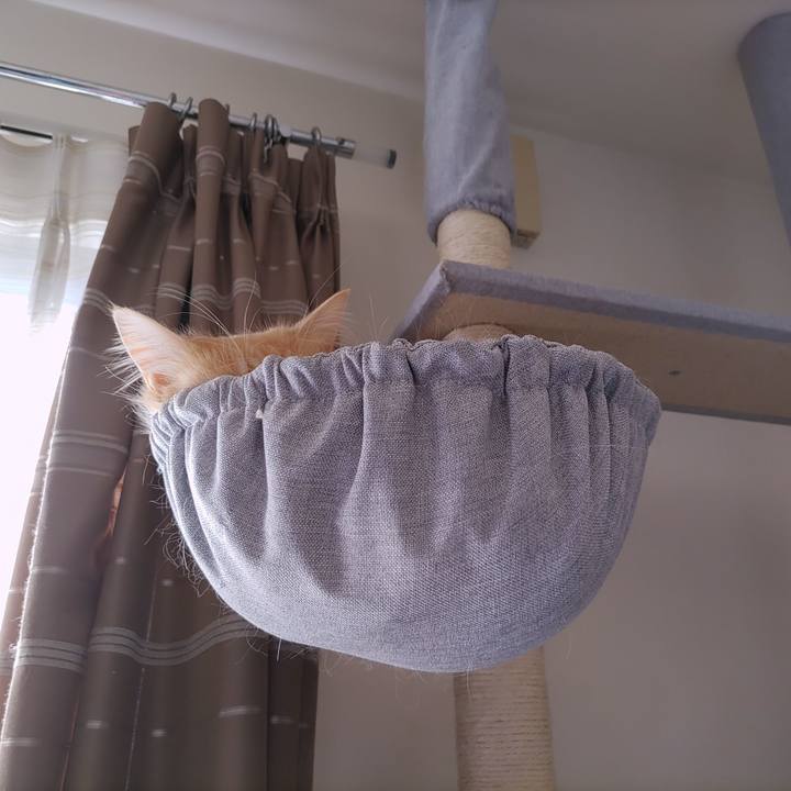 Df5acdd5 20f9 4970 8c96 a90f7a2e02f0 1672109154637