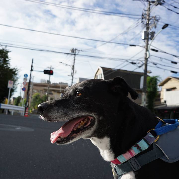 Df5ae392 ec13 4d83 9505 a9f1fc36a90d 1759107140317