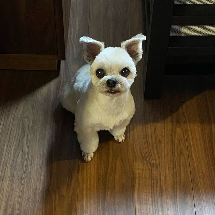 Df5b1a1d ffa3 4d55 8d65 1dc46356dd19 1747438184226